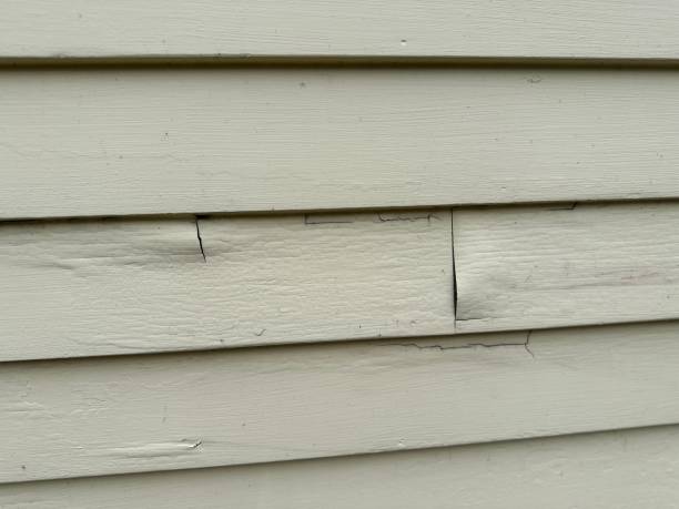 Best Engineered Wood Siding  in Oak Grove, MN